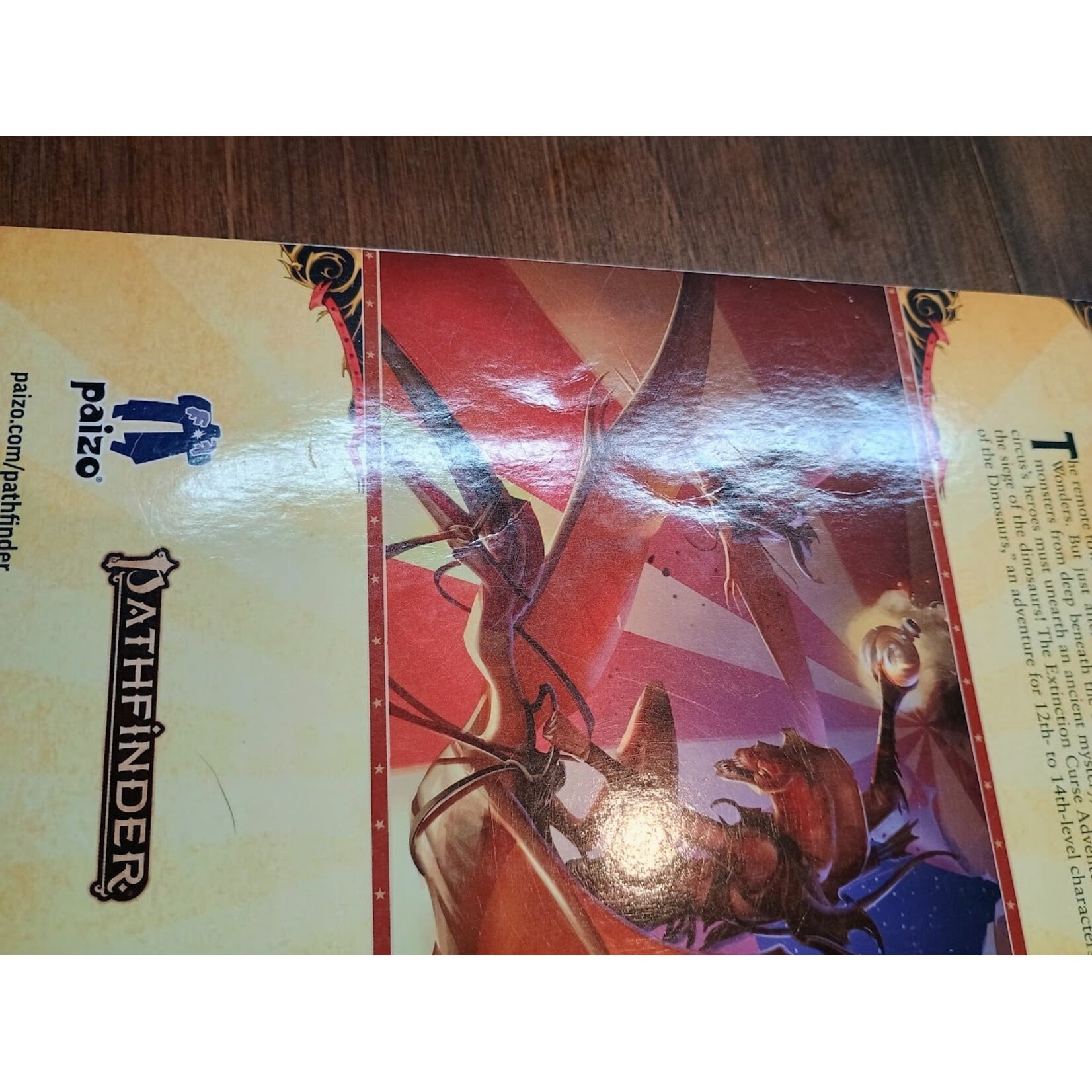 USED Pathfinder: Extinction Curse Lot