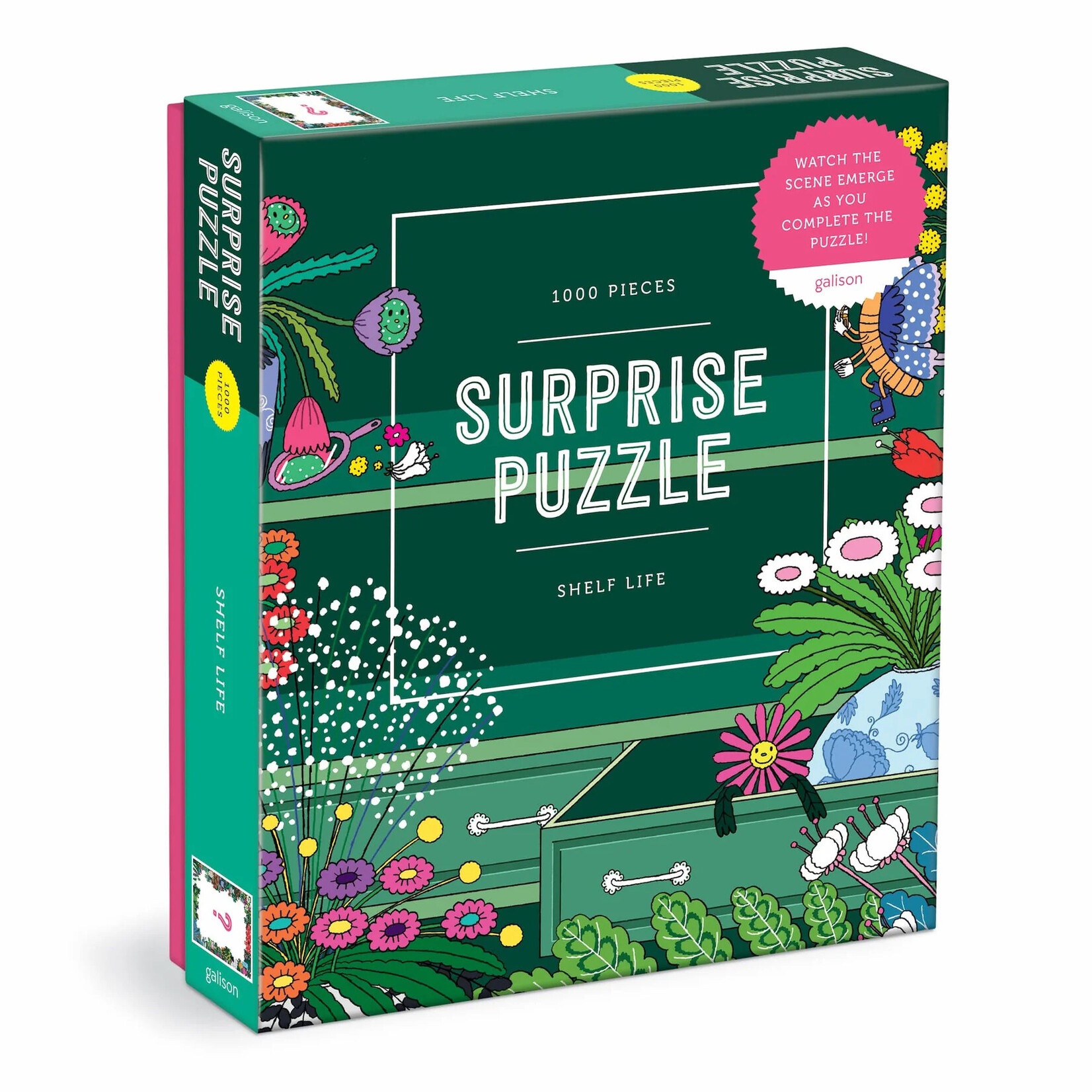 Chronicle Books Shelf Life 1000 Piece Surprise Puzzle