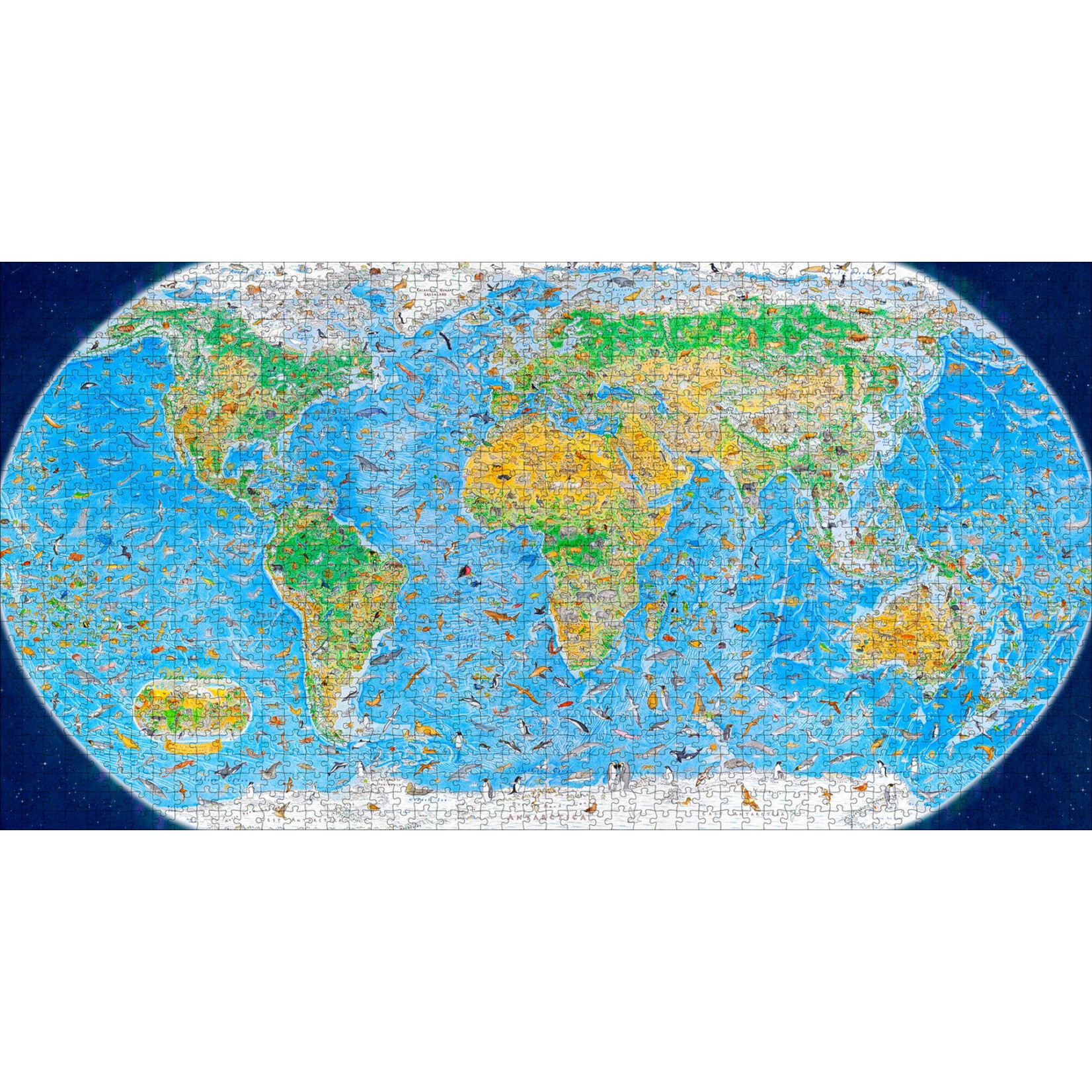 Anton Thomas: Wild World  1500pc