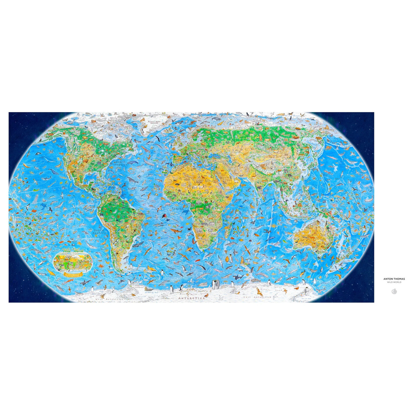 Anton Thomas: Wild World  1500pc
