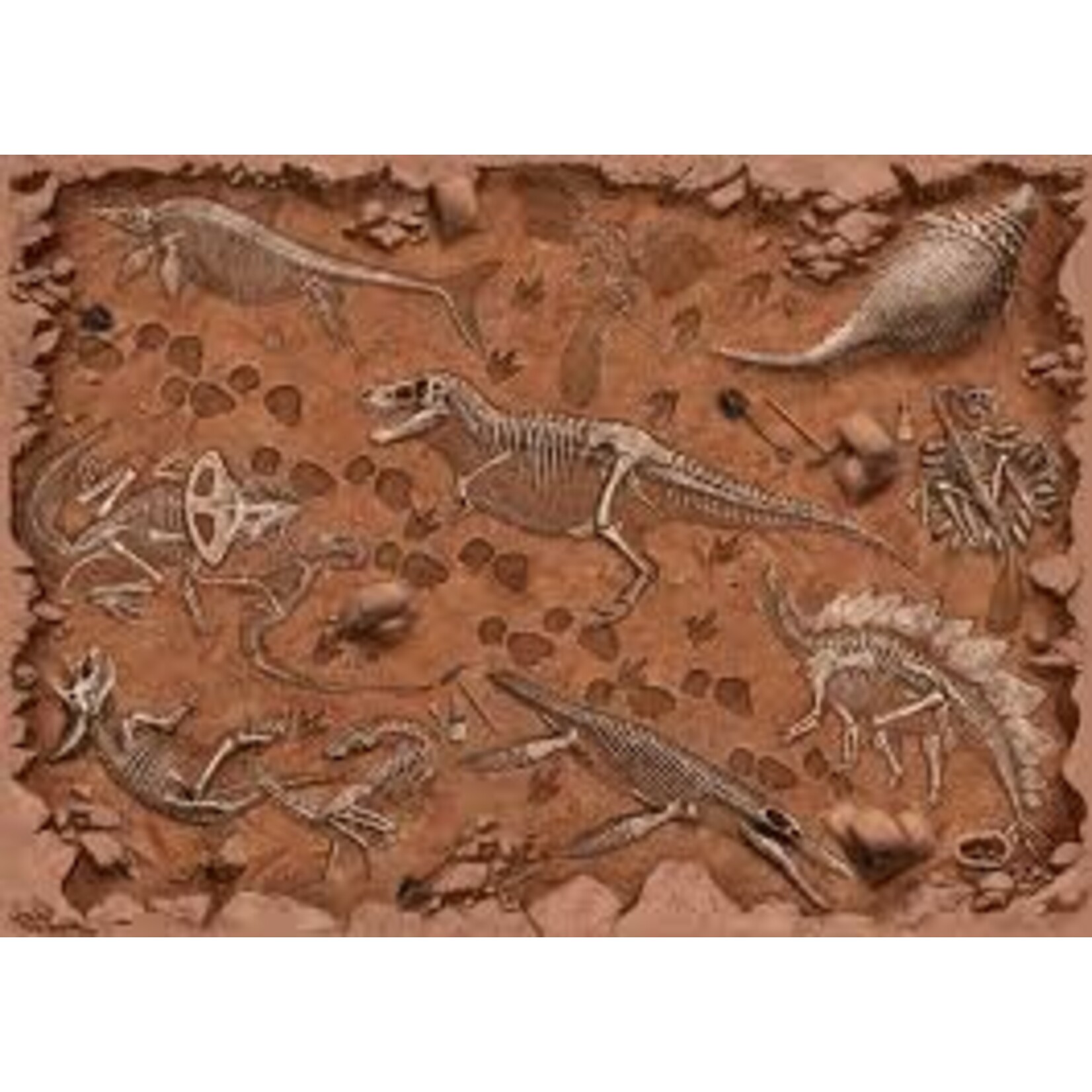 Montrose Biology "Famous Fossils" Paleontology Puzzle 1000pc