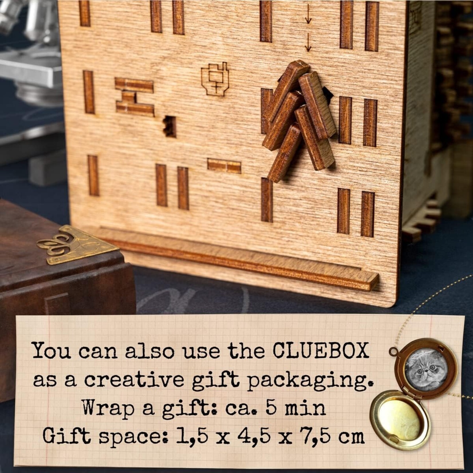 iDventure GmbH Cluebox: Clübox: Schrödinger's Cat