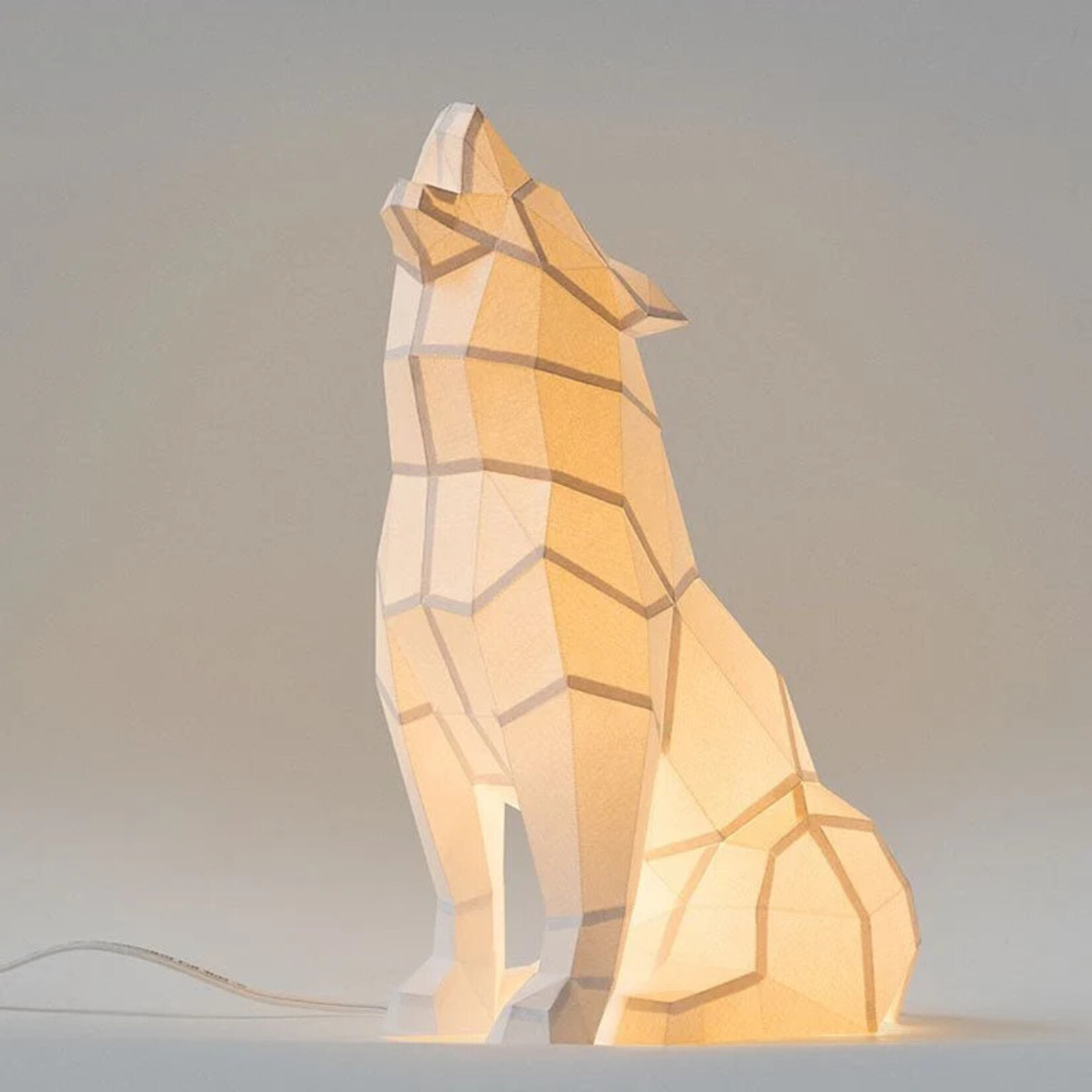 Papercraft World Wolf 3D Papercraft Origami Model, Paper Lamp