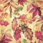 ihr Bright Autumn - Cocktail Napkin - pkg 20