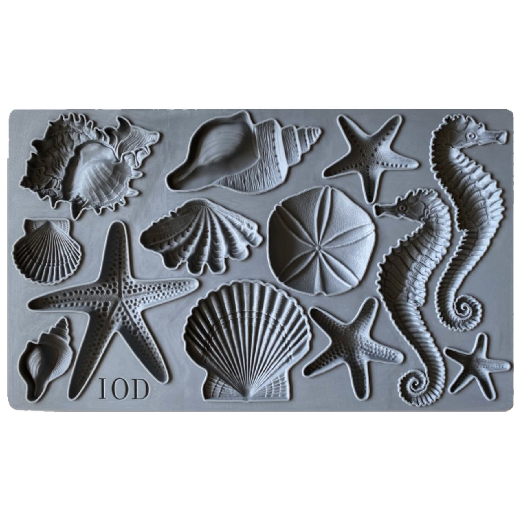 IOD Mould - SEA SHELLS - Whimsy Mountain