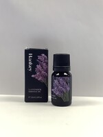 hankey Hanley Essential Oil - Lavender - .34 oz
