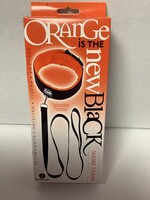 The 9s orange is the new black short leash and collar