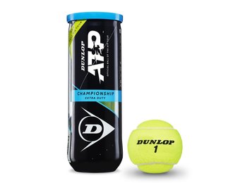 Dunlop ATP Championship Extra Duty Tennis Balls