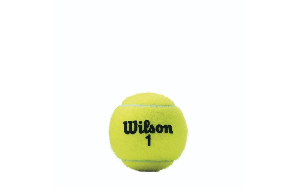  WILSON US Open Tennis Balls - Extra Duty, 24 Can Case