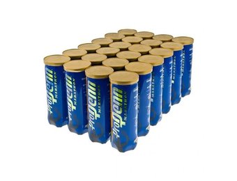 Pro Penn Marathon Extra Duty Tennis Balls - 24 Can Case