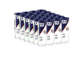 Wilson Roland Garros All Court Tennis Balls Case (24 Cans)