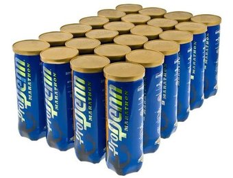 Pro Penn Marathon Regular Duty Tennis Balls - 24 Can Case