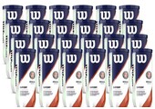 Wilson Roland Garros Clay Asa Tennis Balls Case (24 Cans)