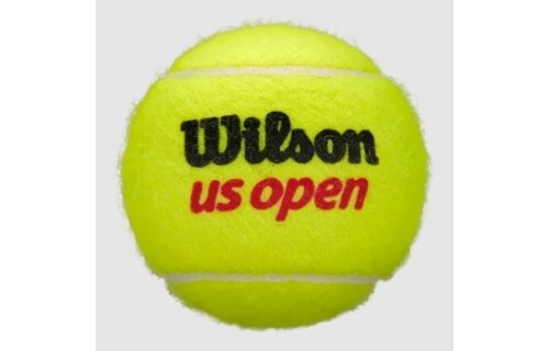 Wilson US Open Regular Duty Tennis Balls