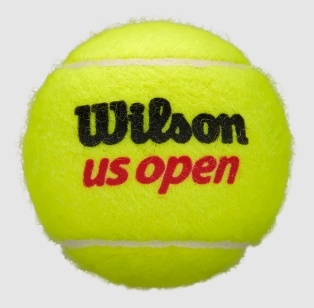 Wilson US Open Regular Duty Tennis Balls