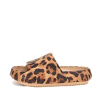 Yellow Box Shoes Zolah Leopard by Yellow Box
