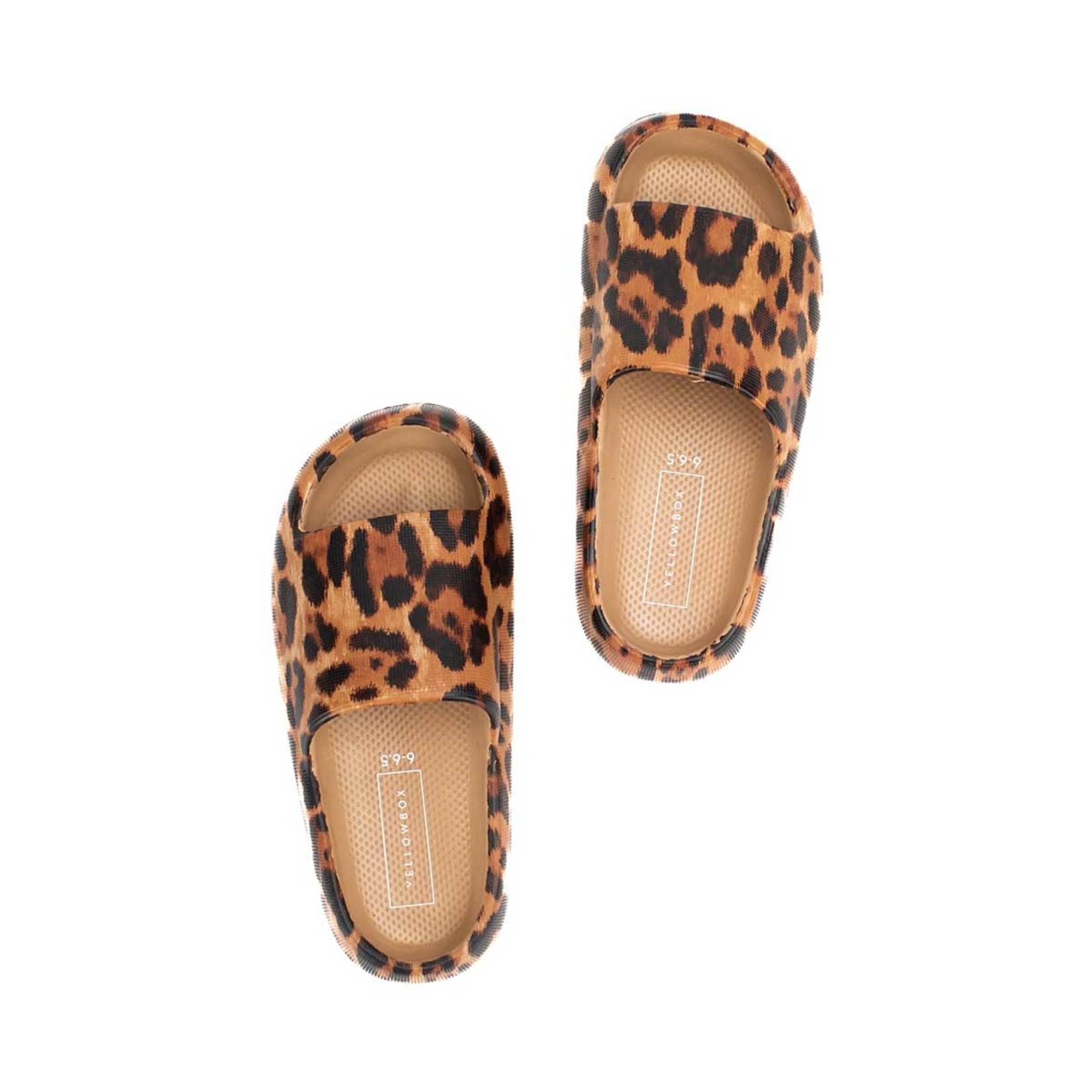 Yellow Box Shoes Zolah Leopard by Yellow Box  Blowout  Sale