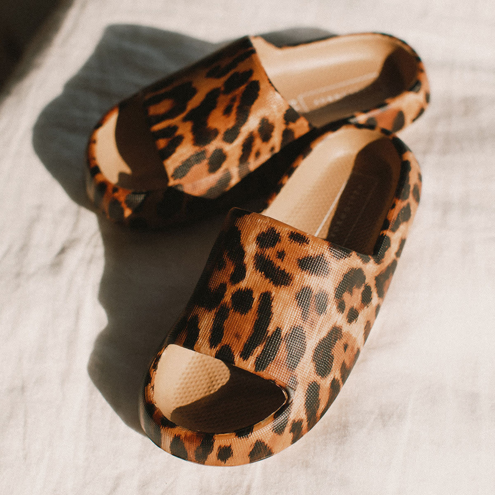 Yellow Box Shoes Zolah Leopard by Yellow Box  Blowout  Sale