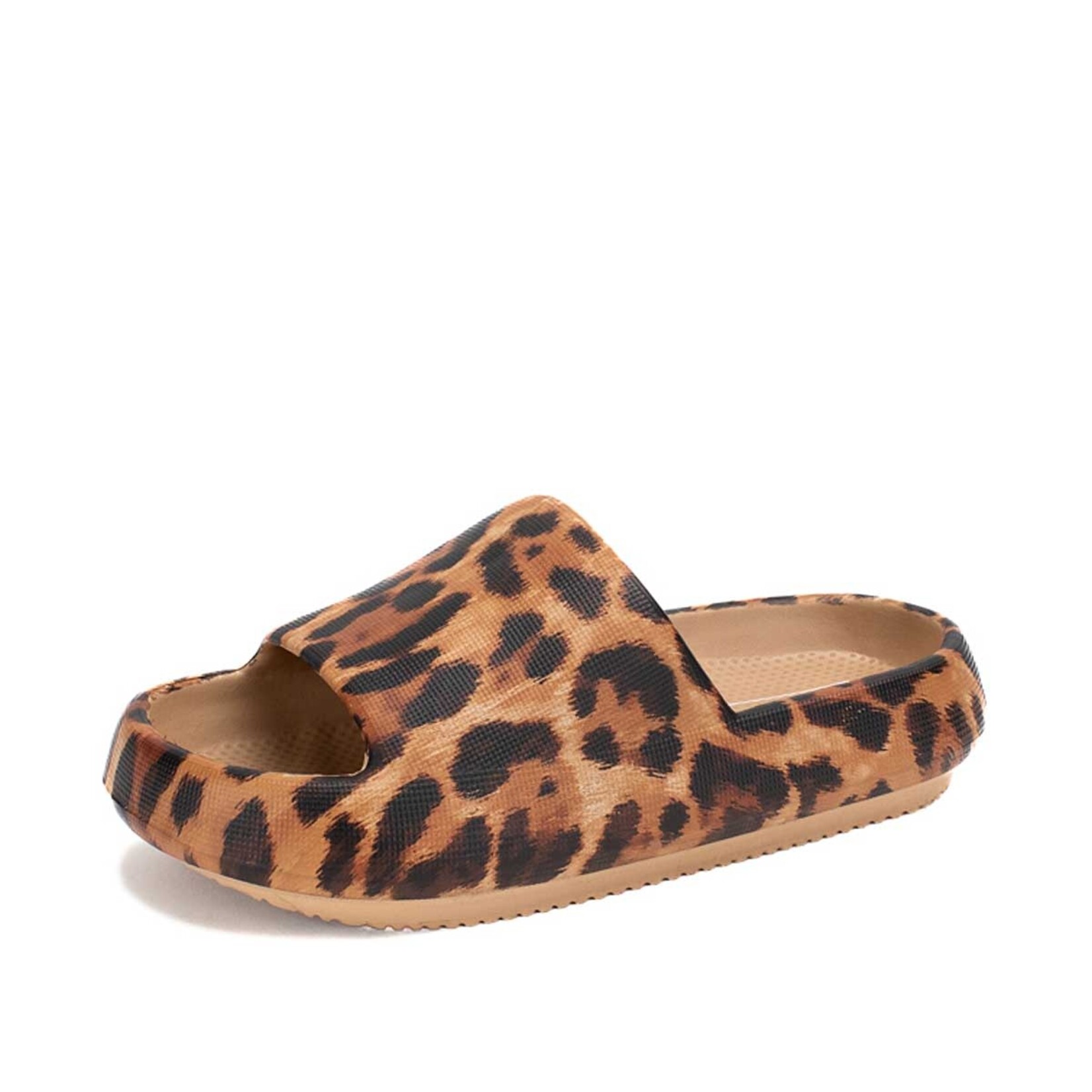 Yellow Box Shoes Zolah Leopard by Yellow Box