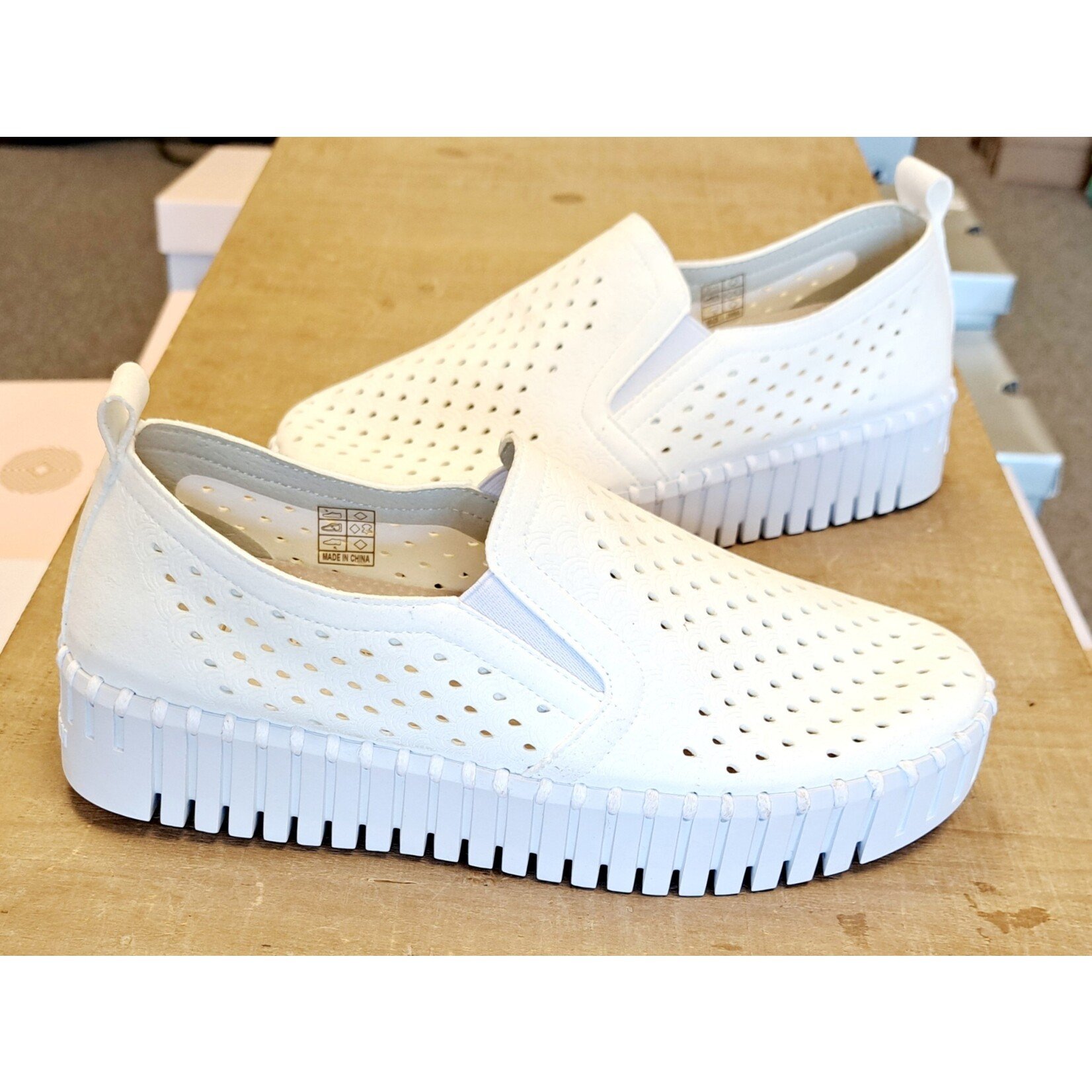 Isle Jacobsen Women Tulip Platform 141 in White by Isle Jacobsen
