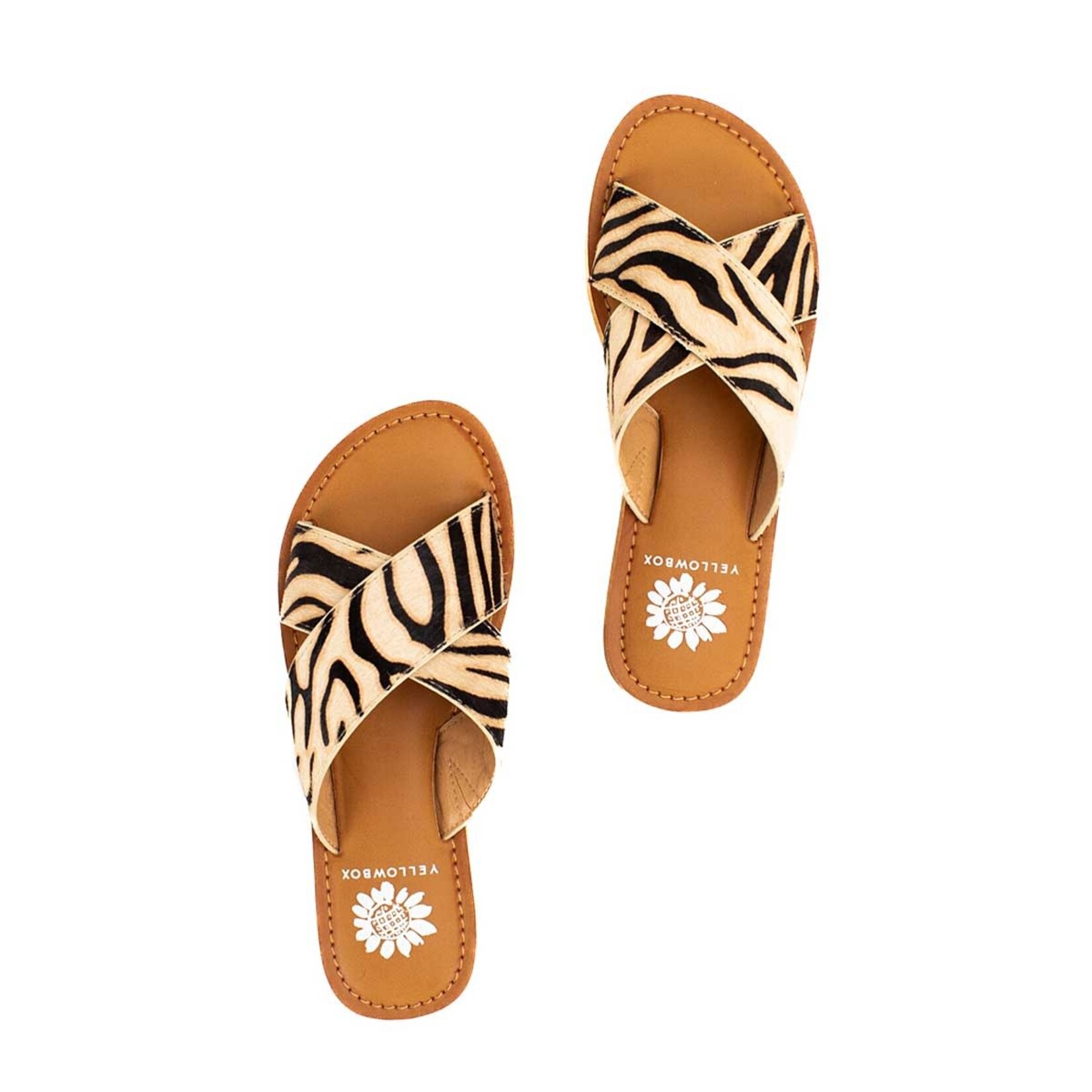 Yellow Box Shoes Ansila by Yellow Box Final Sale No Box