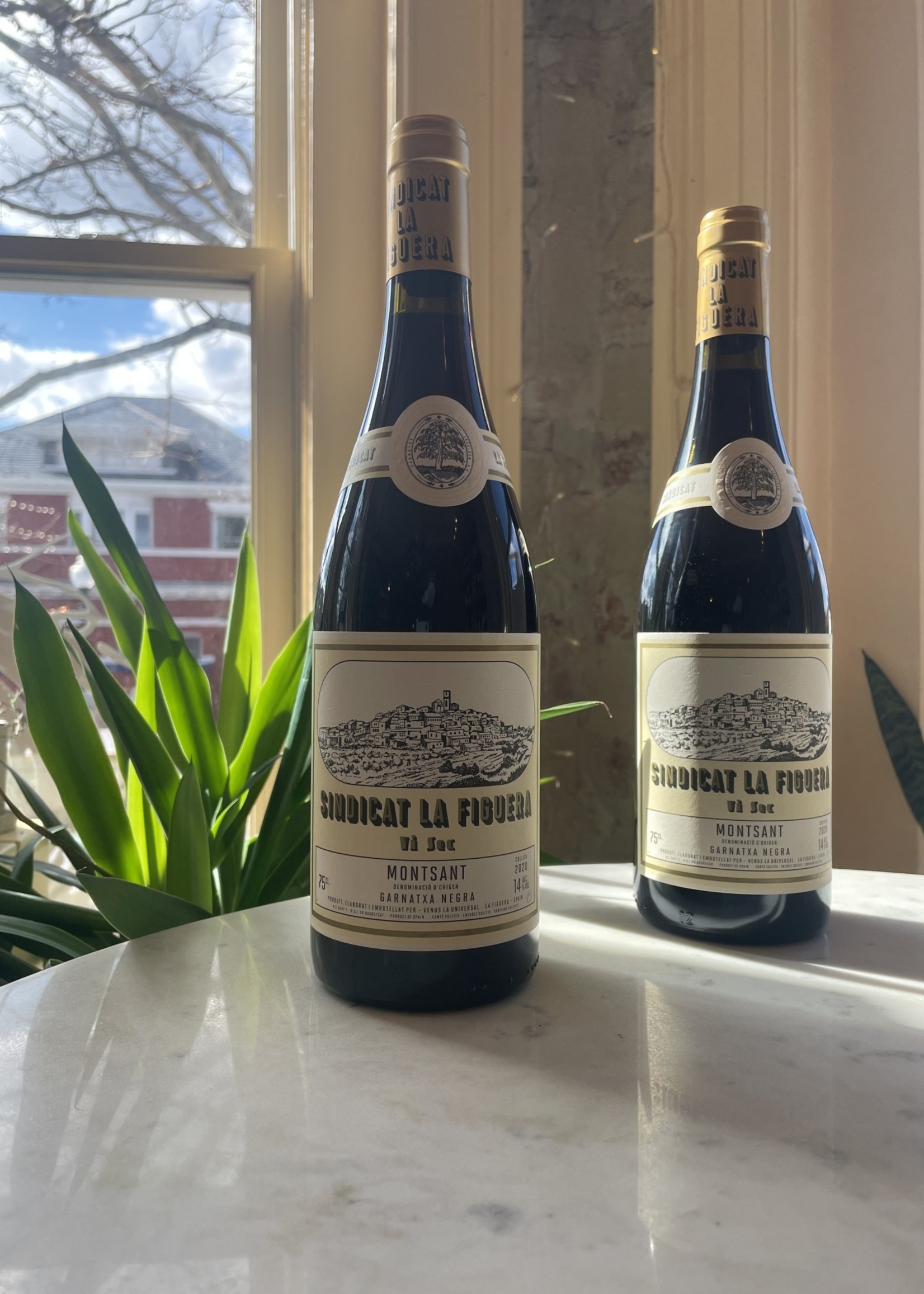 Sindicat La Figuera Montsant, Spain 2023