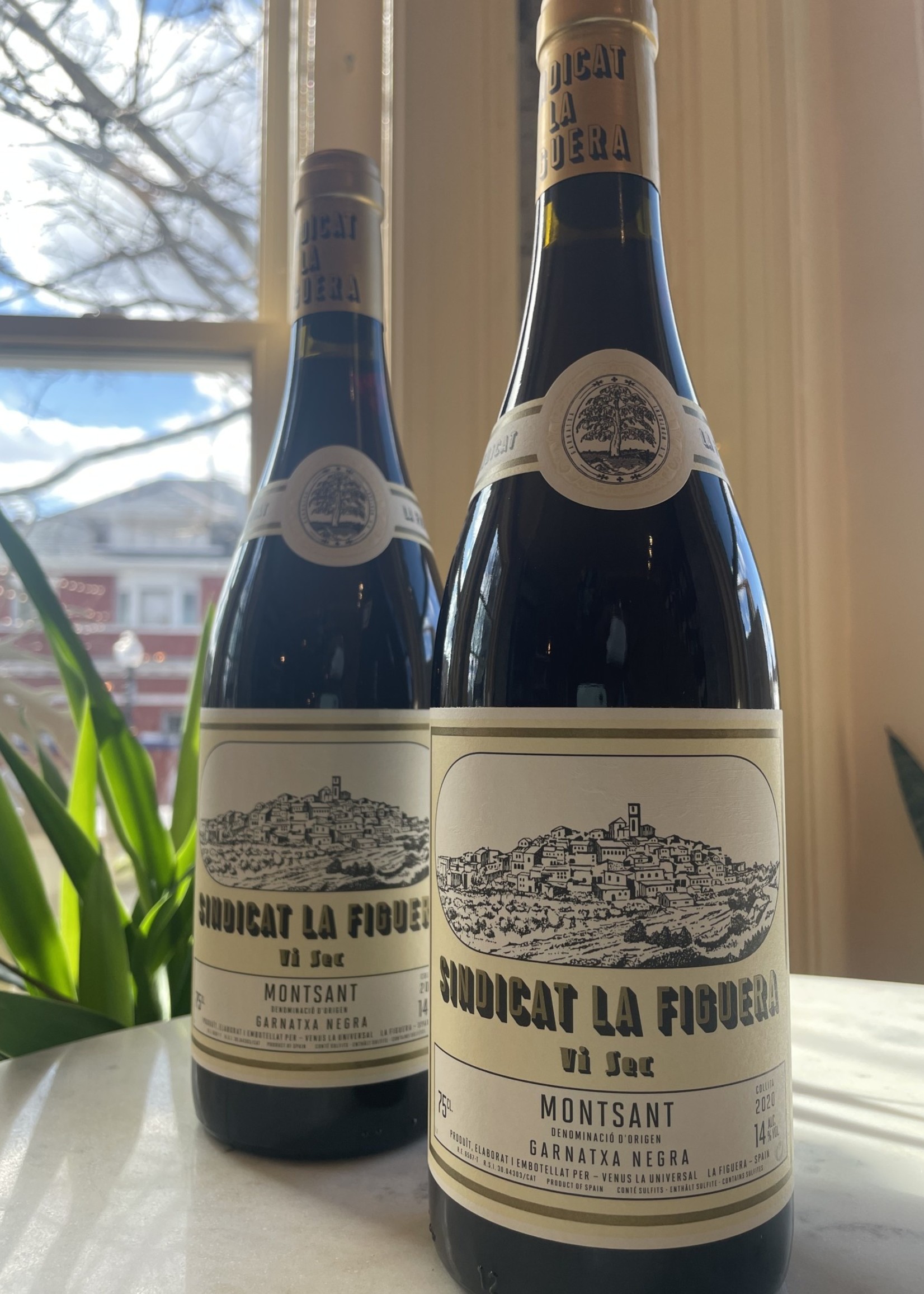 Sindicat La Figuera Montsant, Spain 2023