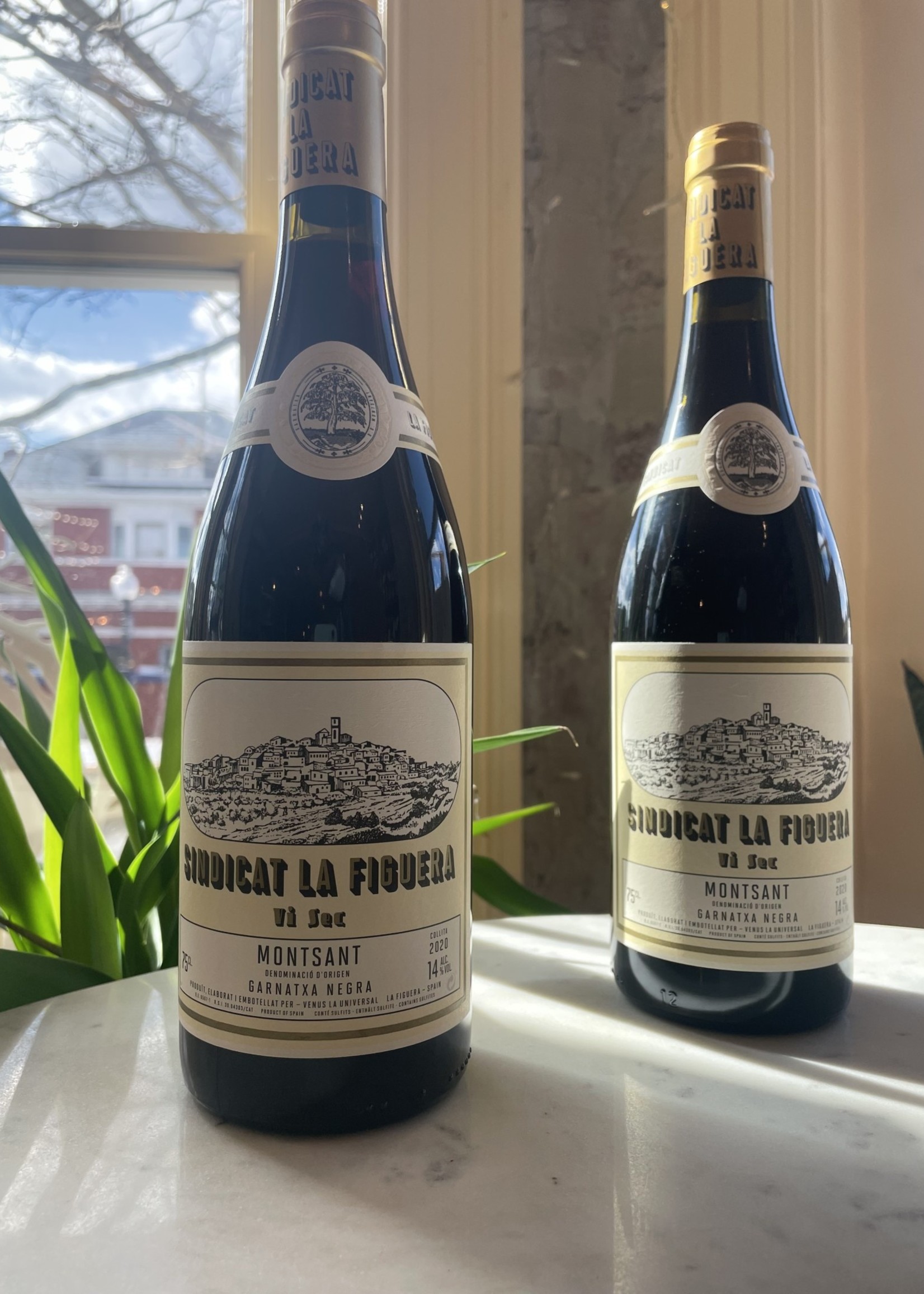 Sindicat La Figuera Montsant, Spain 2023