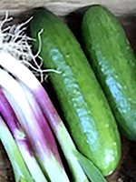 Katrina Cucumbers (1lb)