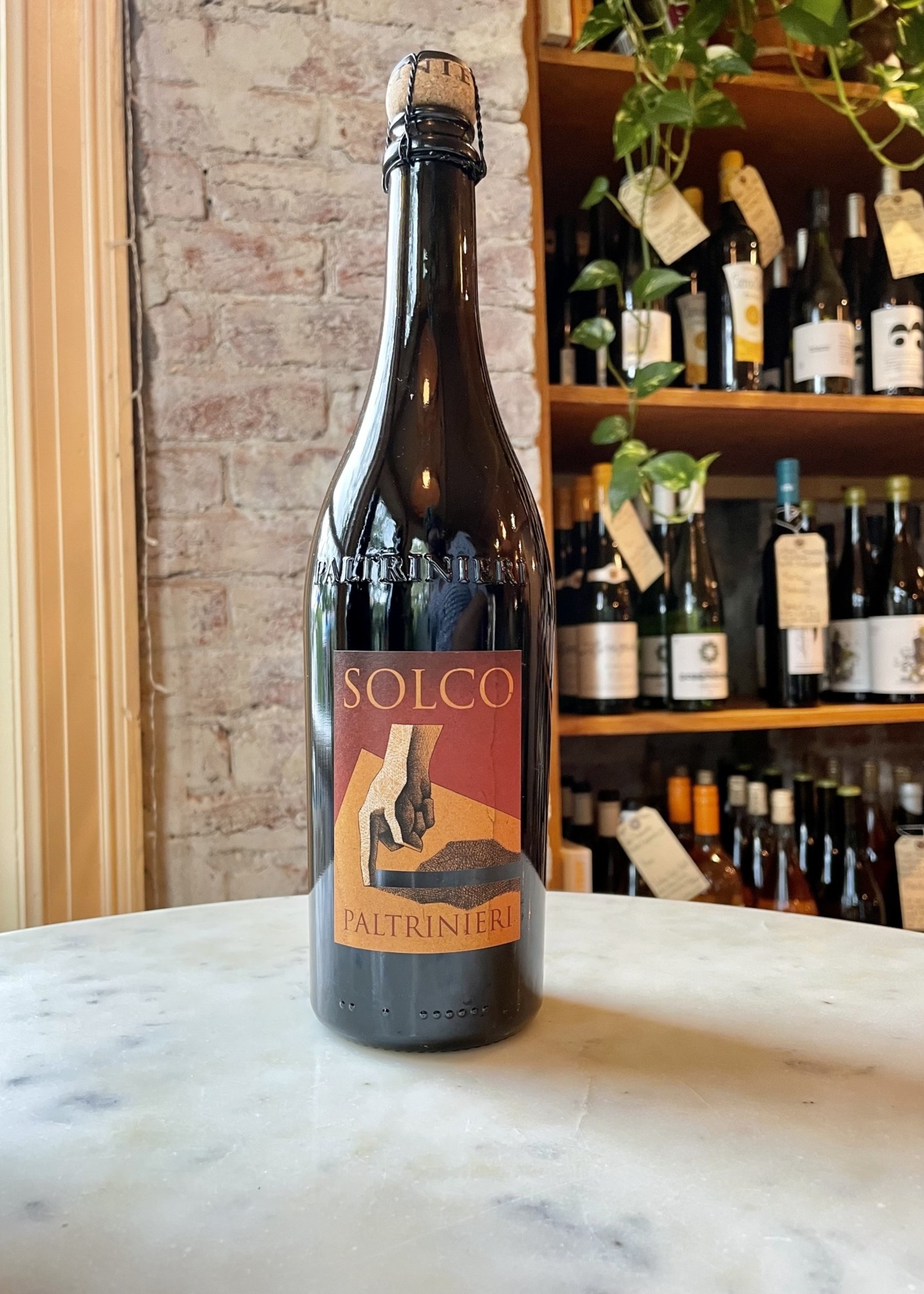 Paltrinieri, Solco,  Lambrusco Salomino, Emilia-Romagna, Italy 2023