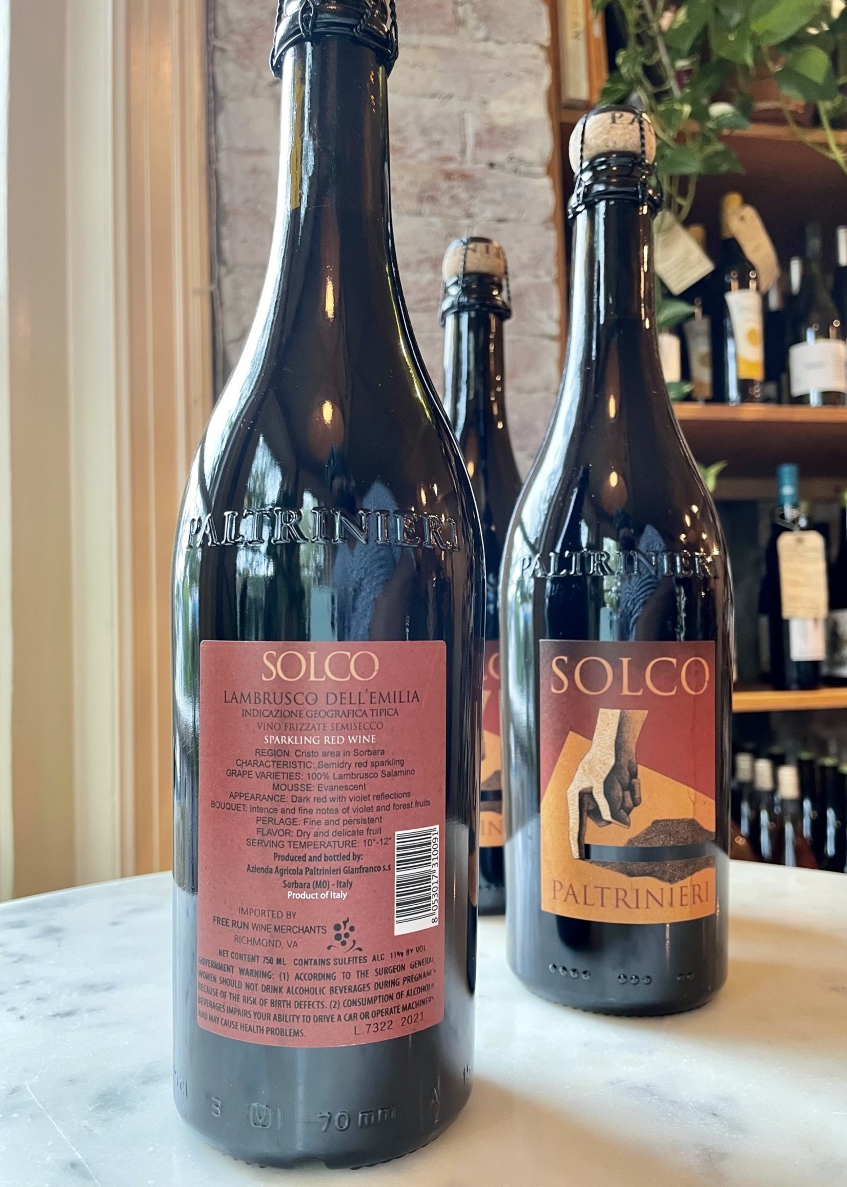Paltrinieri, Solco,  Lambrusco Salomino, Emilia-Romagna, Italy 2023