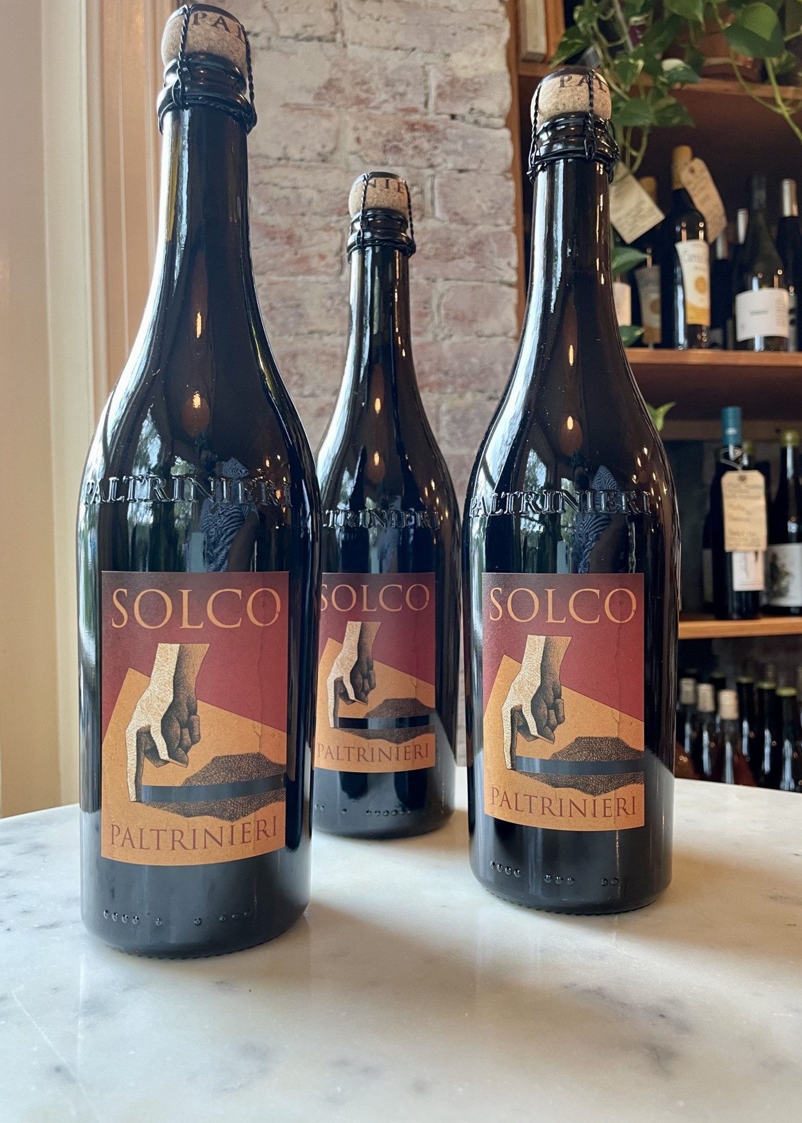 Paltrinieri, Solco,  Lambrusco Salomino, Emilia-Romagna, Italy 2023