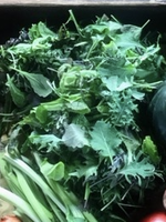 Custom Mixed Baby Greens (1/2 pound)