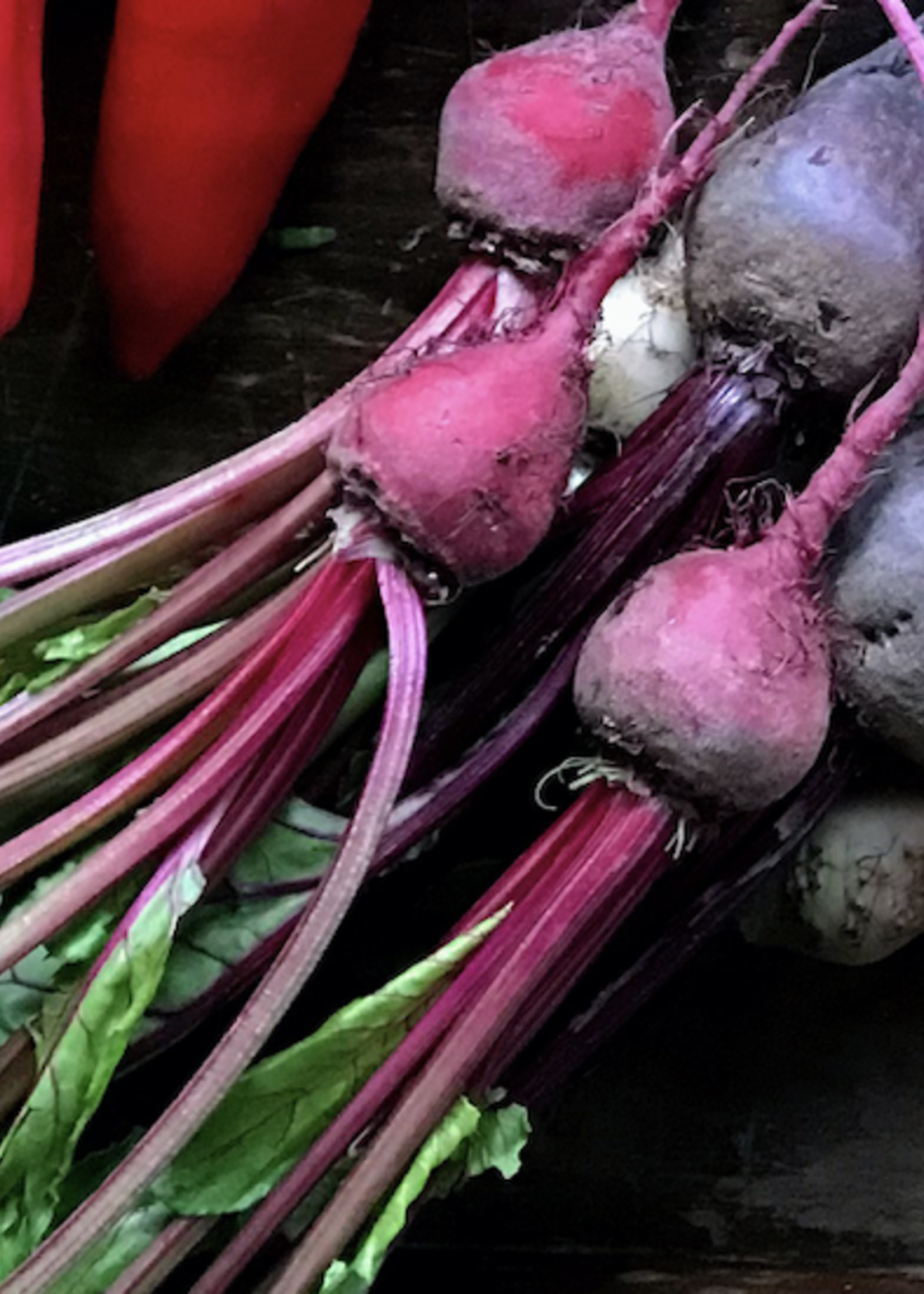 Baby Rainbow Beets (2lb)