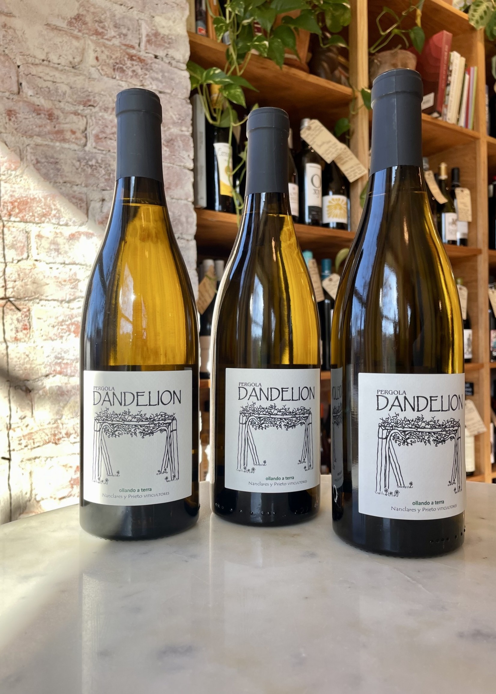 Alberto Nanclares y Silvia Prieto, Dandelion, Rias Baixas, Spain 2022