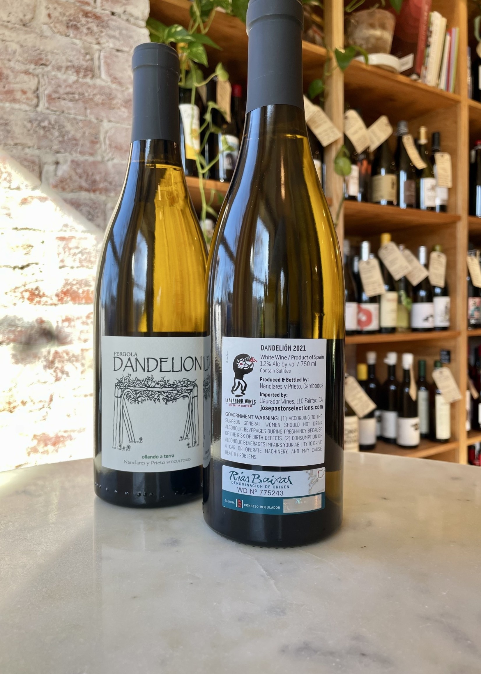 Alberto Nanclares y Silvia Prieto, Dandelion, Rias Baixas, Spain 2022