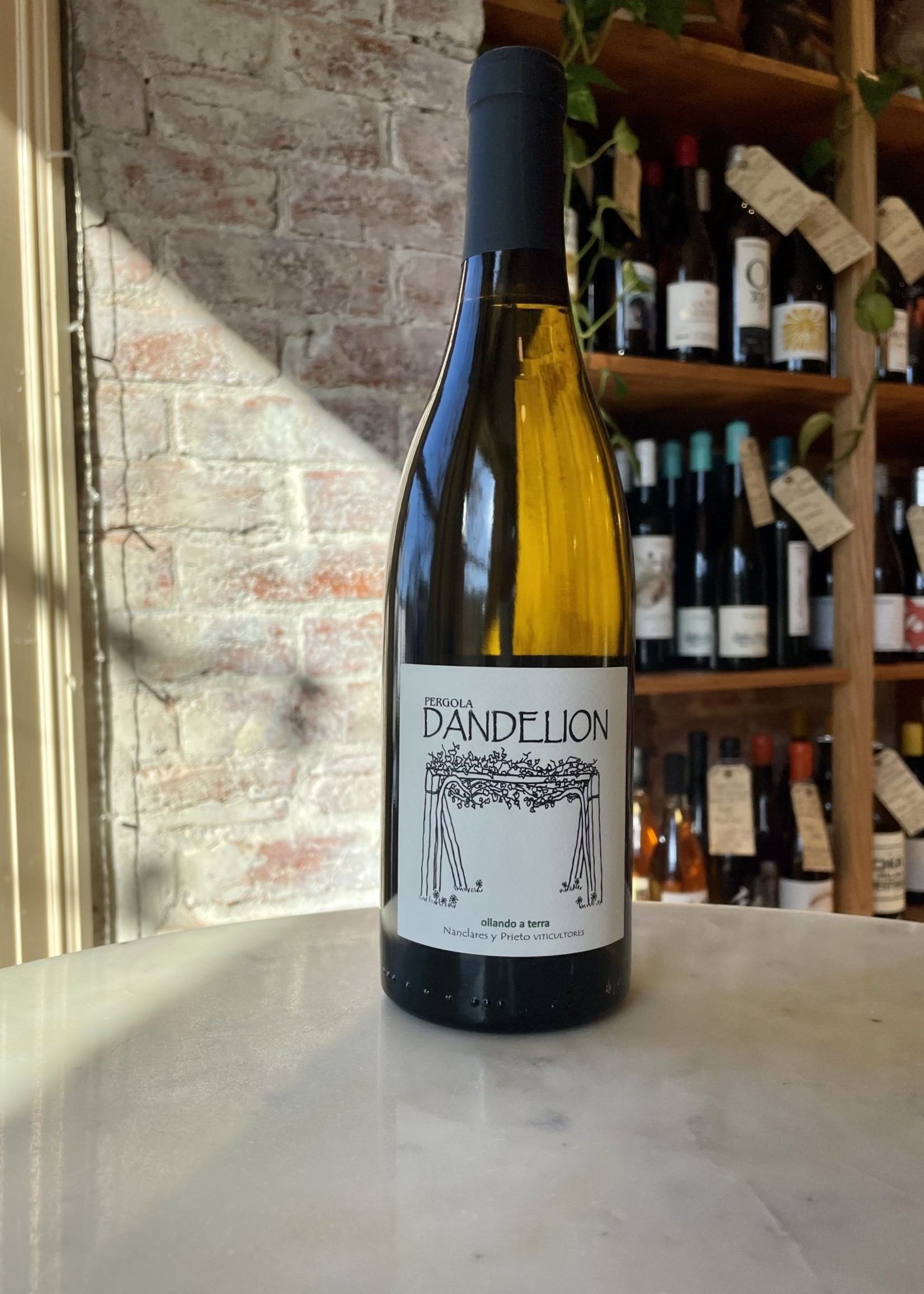 Alberto Nanclares y Silvia Prieto, Dandelion, Rias Baixas, Spain 2022