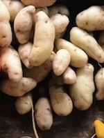 La Ratte Fingerling Potatoes (2lbs)