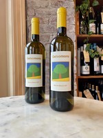 Gelsomoro Marche Bianco, Italy 2021