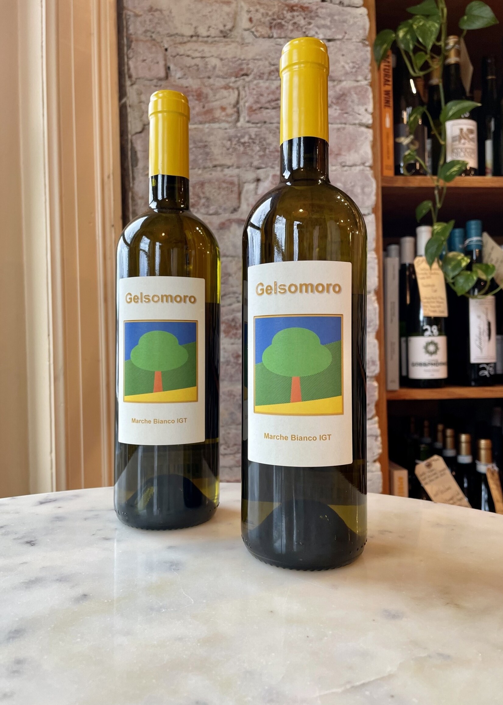 Gelsomoro Marche Bianco, Italy 2020