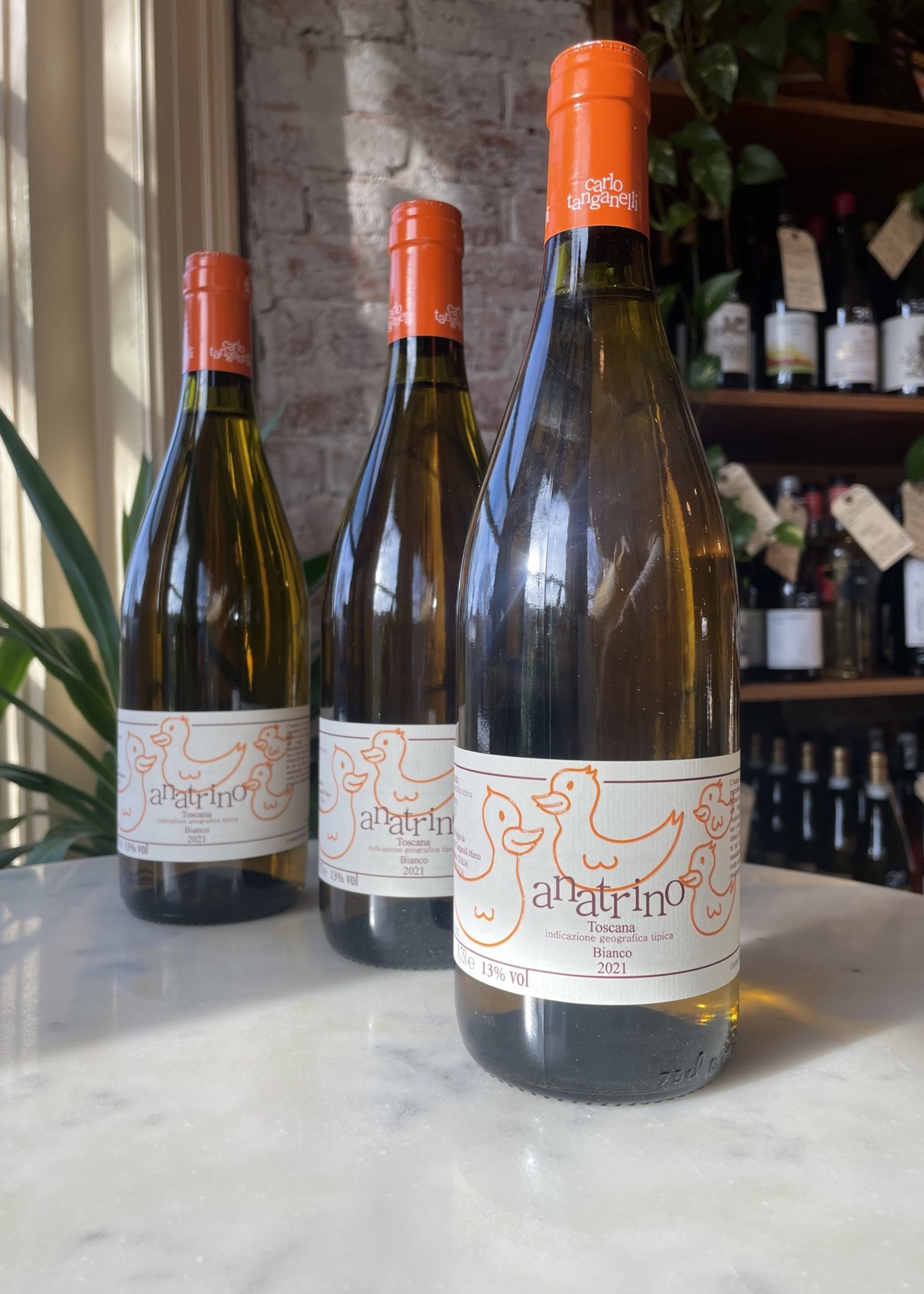 Marco Tanganelli, Anatrino Vino Bianco di Toscana, Trebbiano, Tuscany, Italy 2021