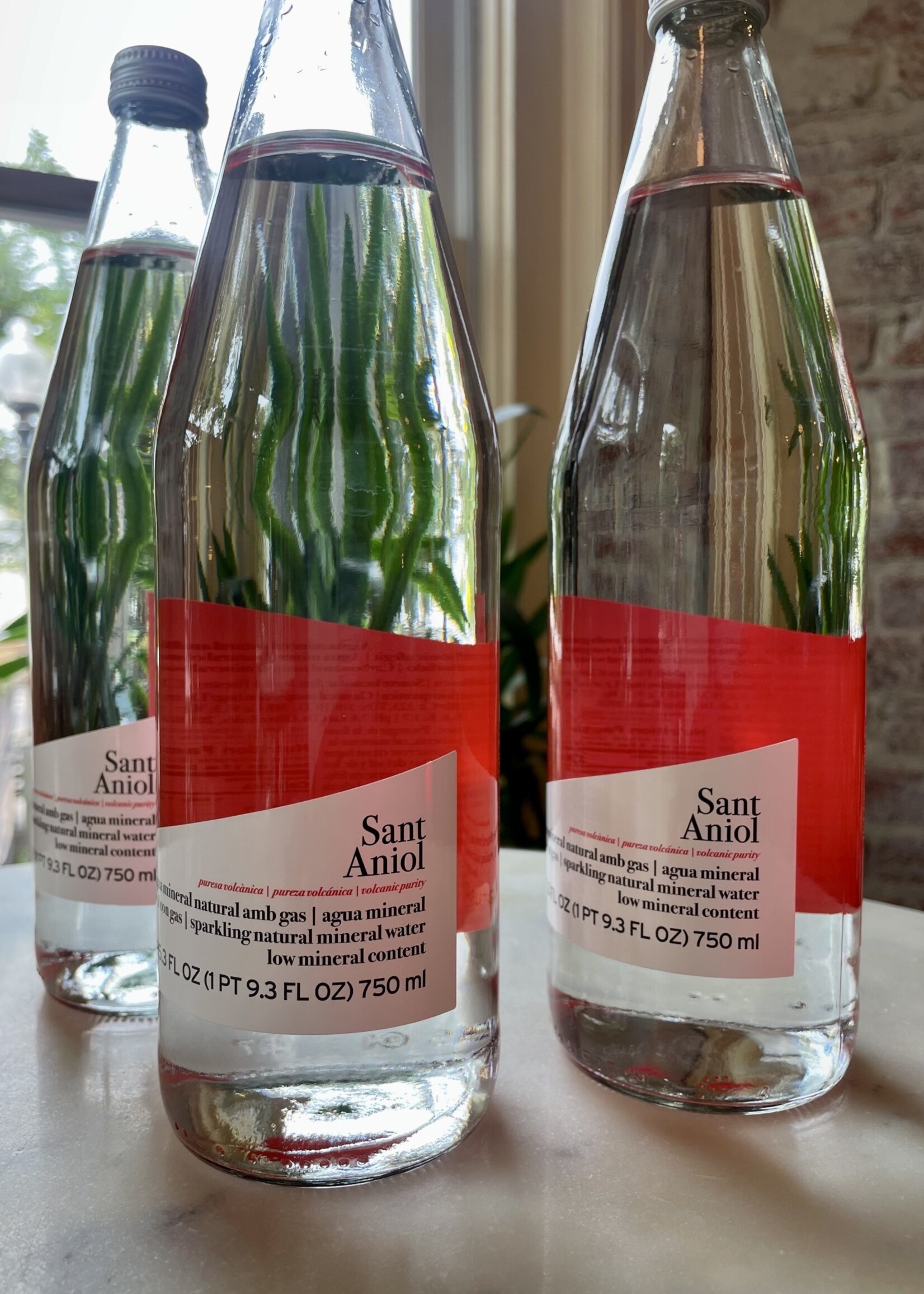 Sant Aniol Classic Sparkling Water Girona, Spain