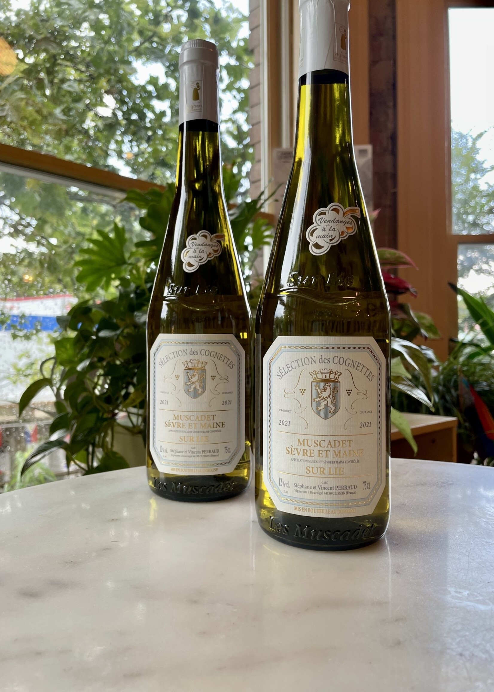 Domaine des Cognettes, Sélection des Cognettes, AOC Muscadet Sèvre et Maine, France 2022