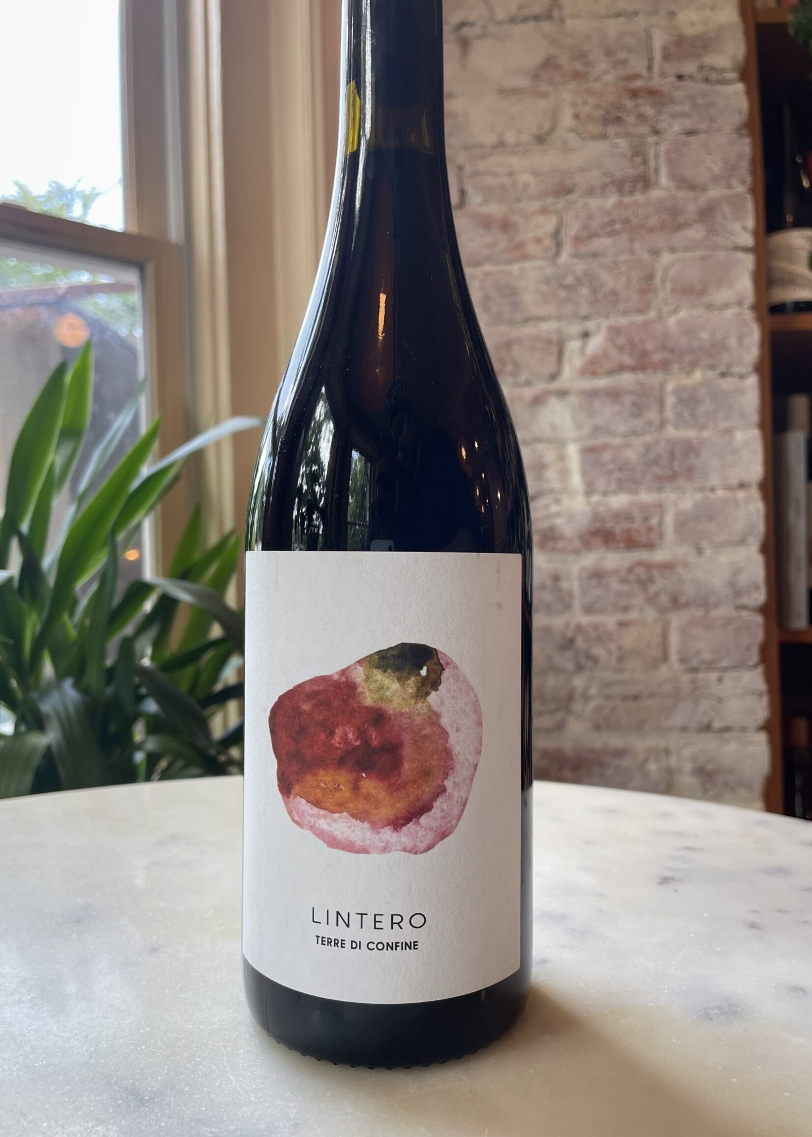 Terre di Confine, L’intero Red, Massa Carrara, Toscana, Italy 2021