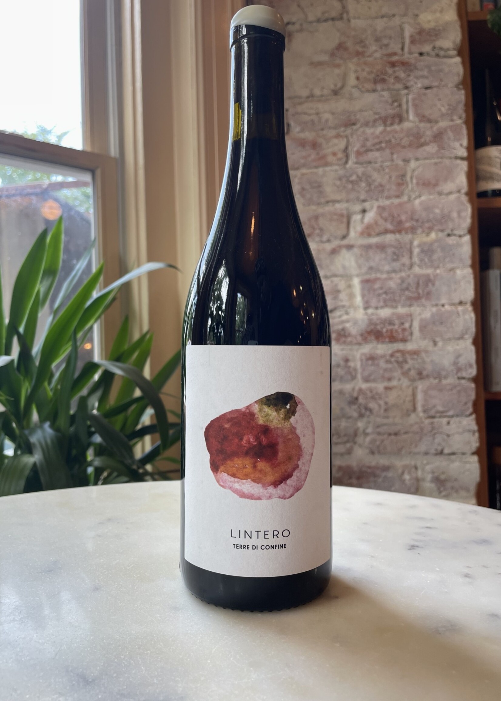 Terre di Confine, L’intero Red, Massa Carrara, Toscana, Italy 2021
