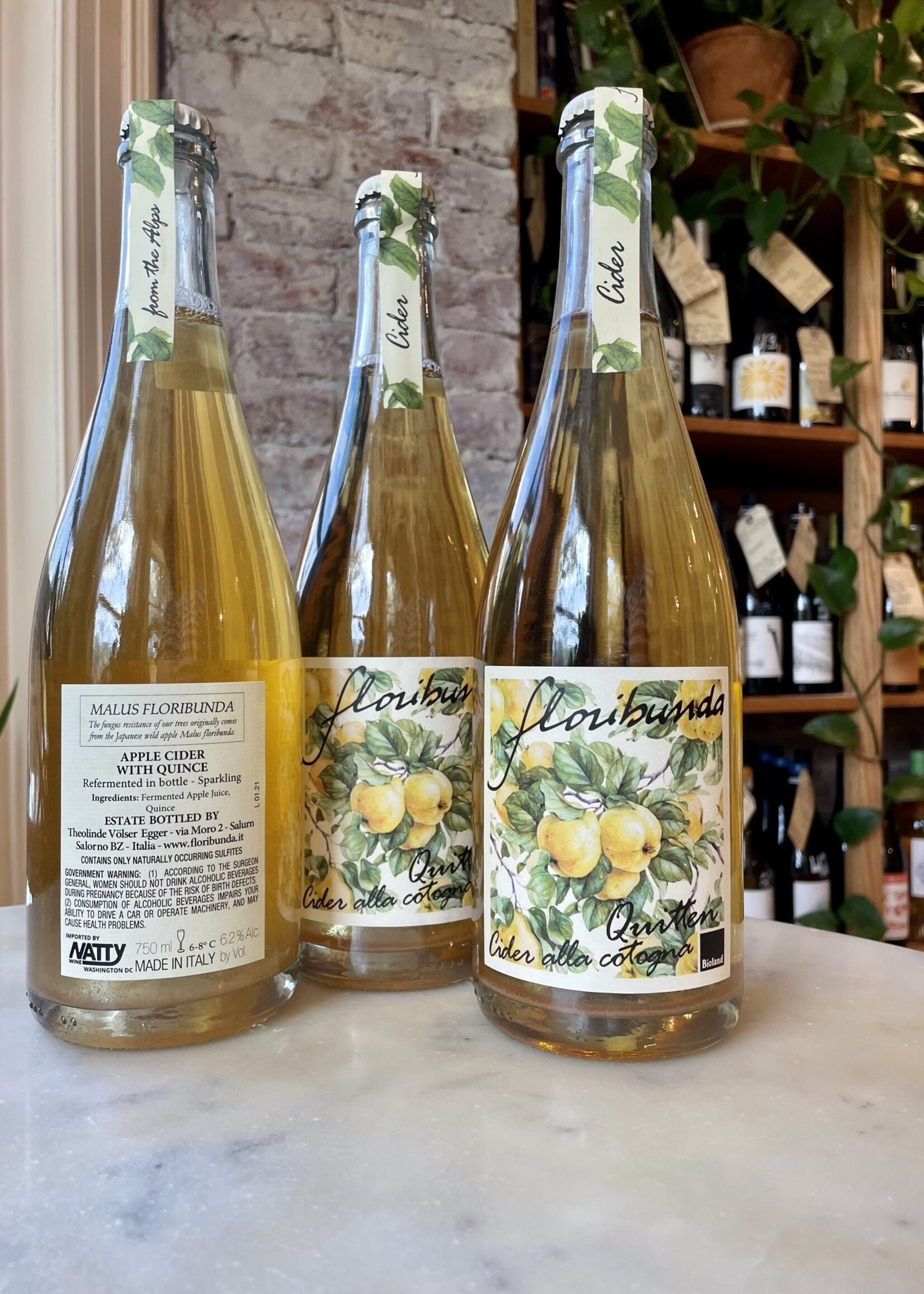 Floribunda, “Quitten” Quince Cider, Salorno, South Tyrol, Italy 2021