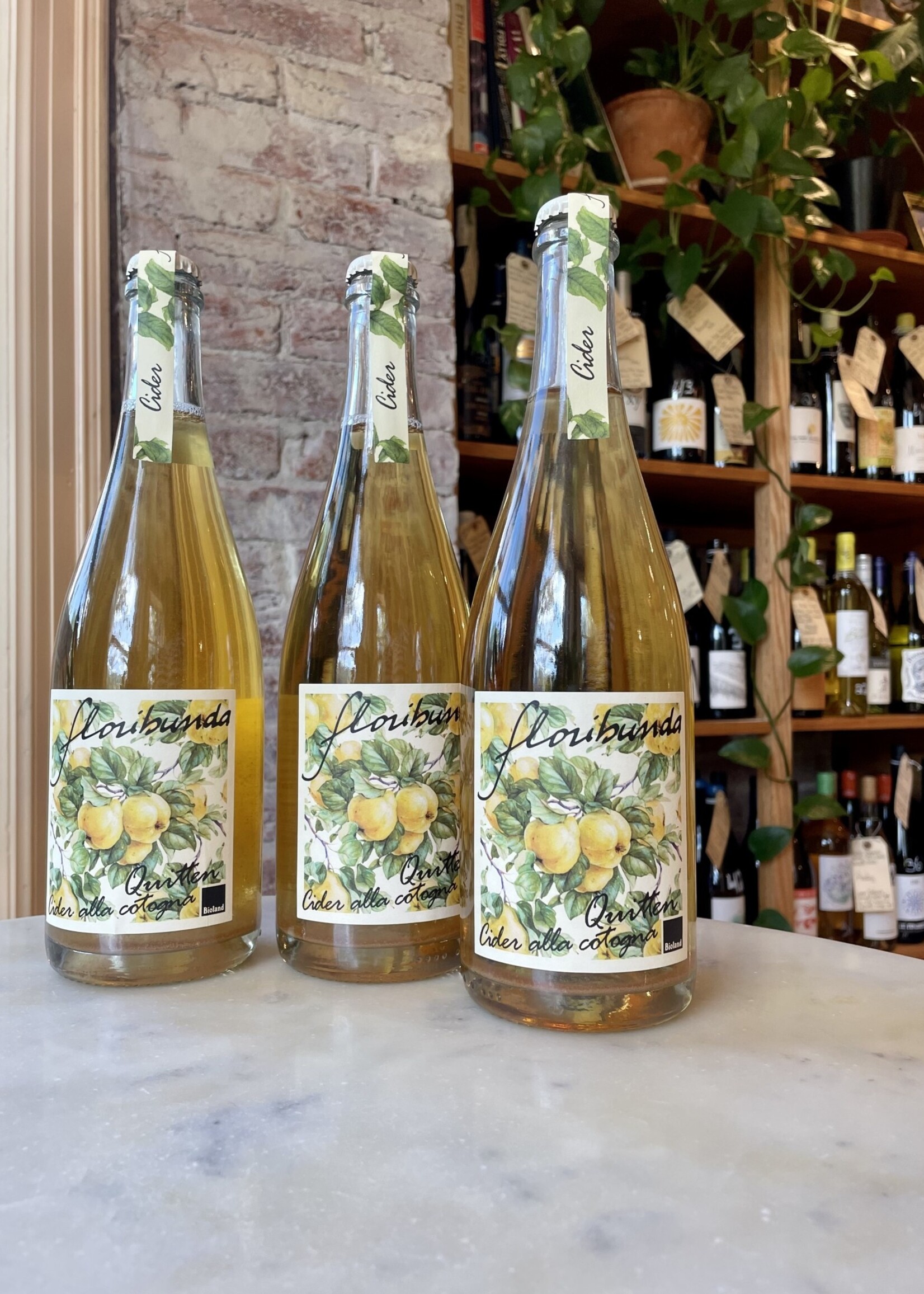 Floribunda, “Quitten” Quince Cider, Salorno, South Tyrol, Italy 2021
