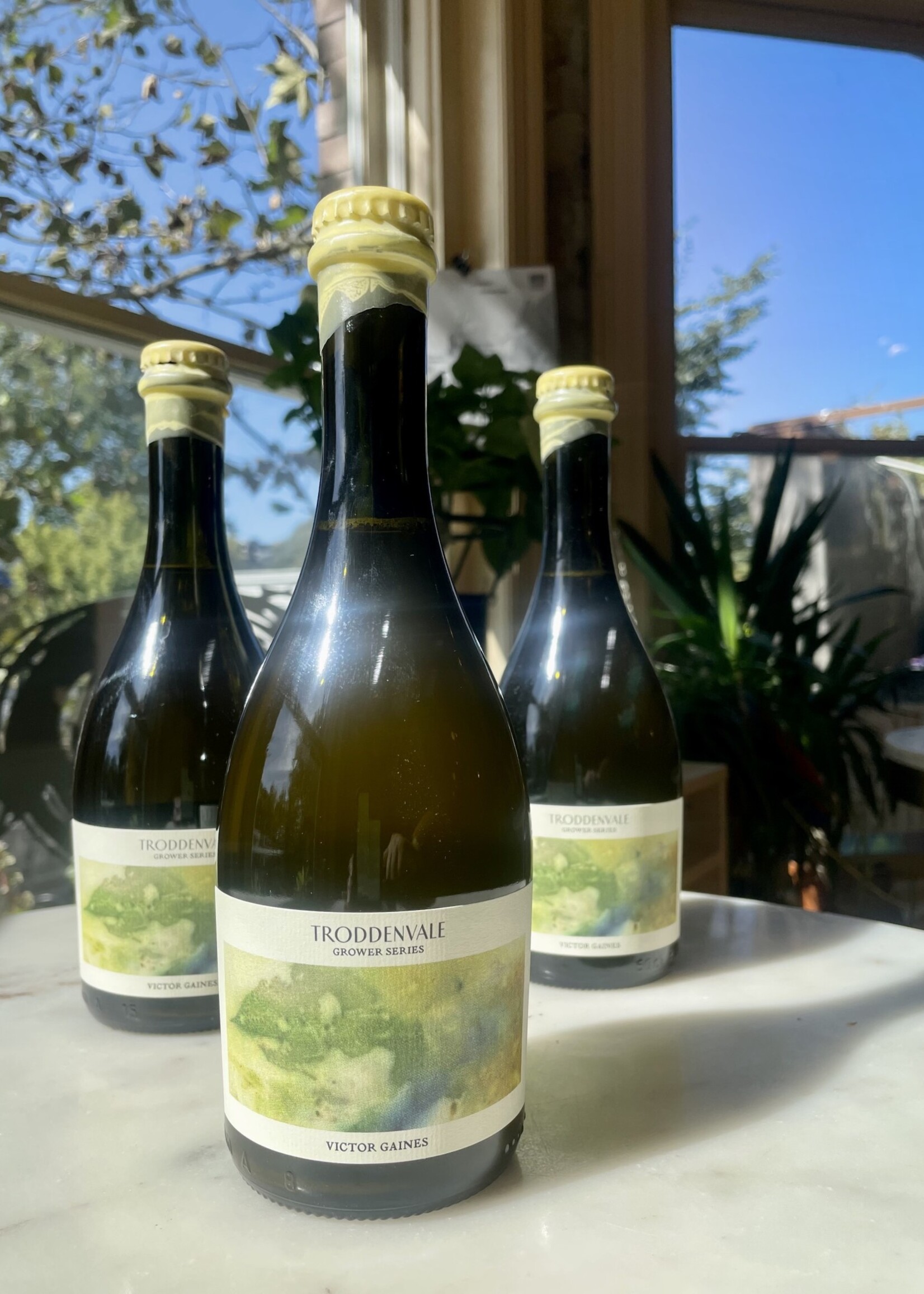 Troddenvale Growers Series Cider, Victor Gaines, Virginia 2021