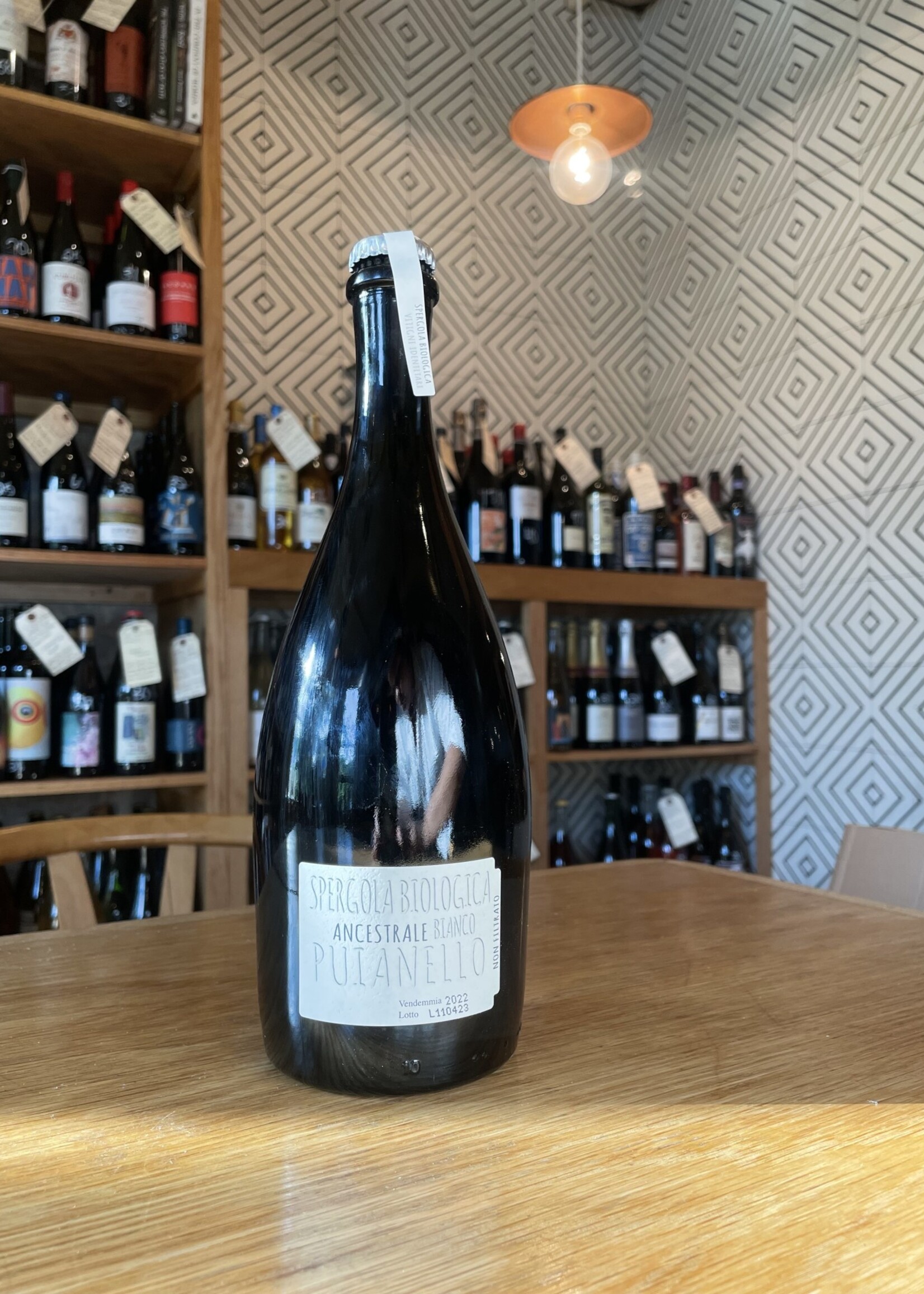 Cantina Puianello Spergola Metodo Ancestrale, Italy 2022