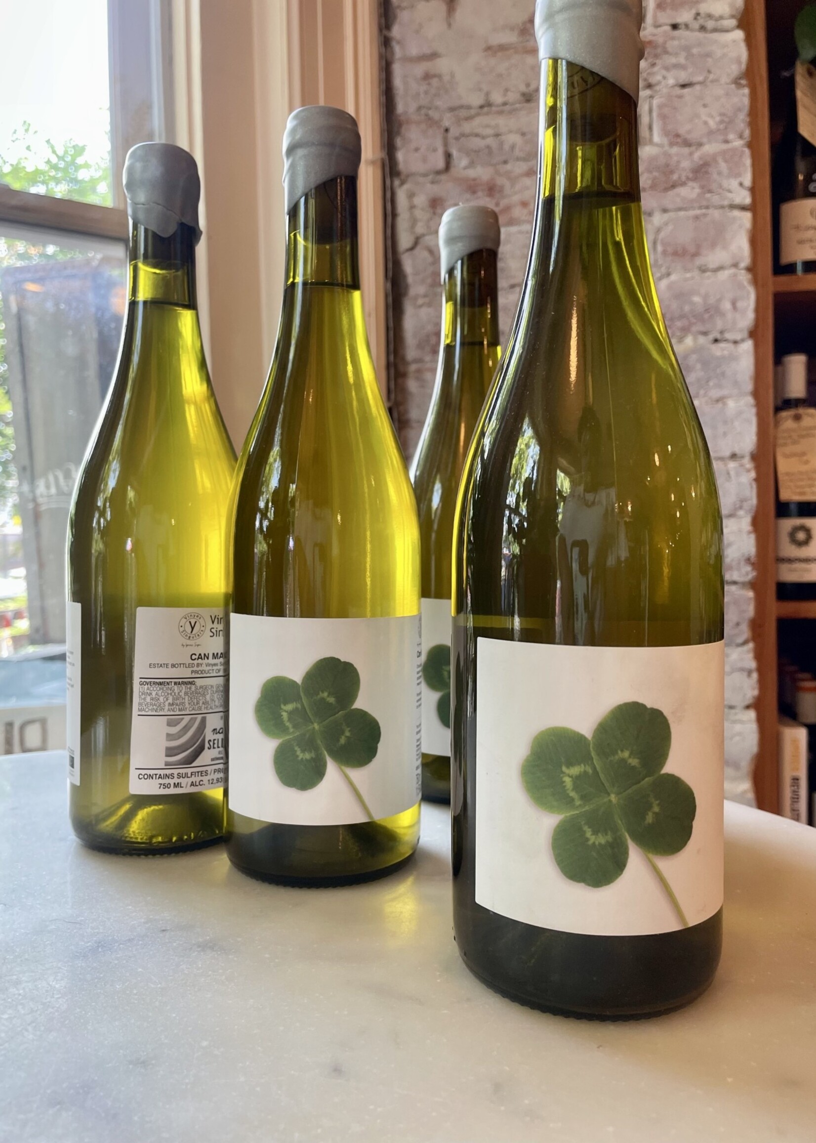 Vinyes Singulars, “Can Marti” Sumoll Blanc, Penedès, Catalonia, Spain 2021